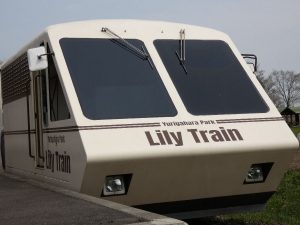 LilyTrain_001_01 LilyTrain_001_01