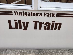 LilyTrain_001_02 LilyTrain_001_02