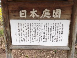 LilyTrain_004_01 LilyTrain_004_01