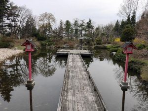 LilyTrain_004_07 LilyTrain_004_07